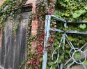 Green goes to red.  Old wood, aged brick, rusty metal make up fall colors