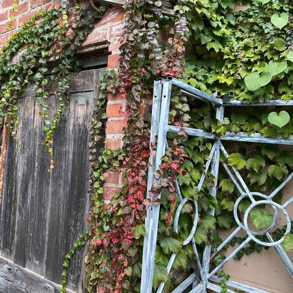 Green goes to red.  Old wood, aged brick, rusty metal make up fall colors