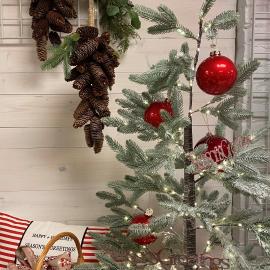 TT EE Trees