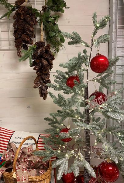 TT EE Trees