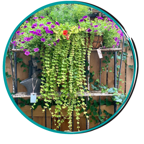 click here to explore outdoor items